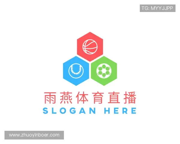 了解雨燕体育直播